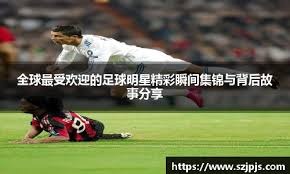 樊振东全运会表现引热议，退出世排新解读